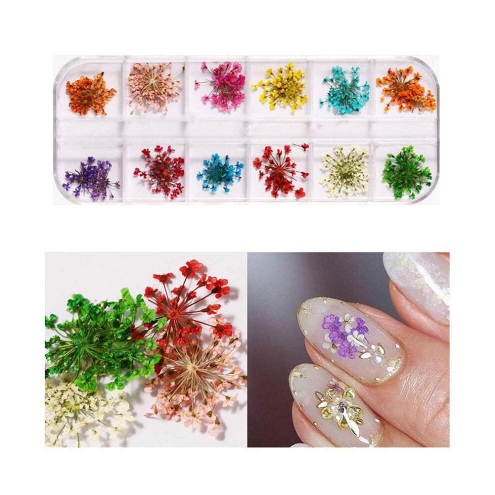Dried Flowers for Nail Art 12 Colors Real Pressed Flowers Kit with Tweezer for DIY Nails and Crafts