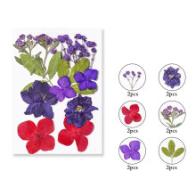 Quinlirra Living Room Decor Clearance Colorful Natural Dried Flowers And Embossed Decorative Set Easter Decorations