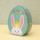 Set of 4 Easter Egg Tin Cookie Boxes with Bunny Design, Reusable Candy Storage Containers with Lids 4