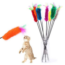 Cat toy with feathers