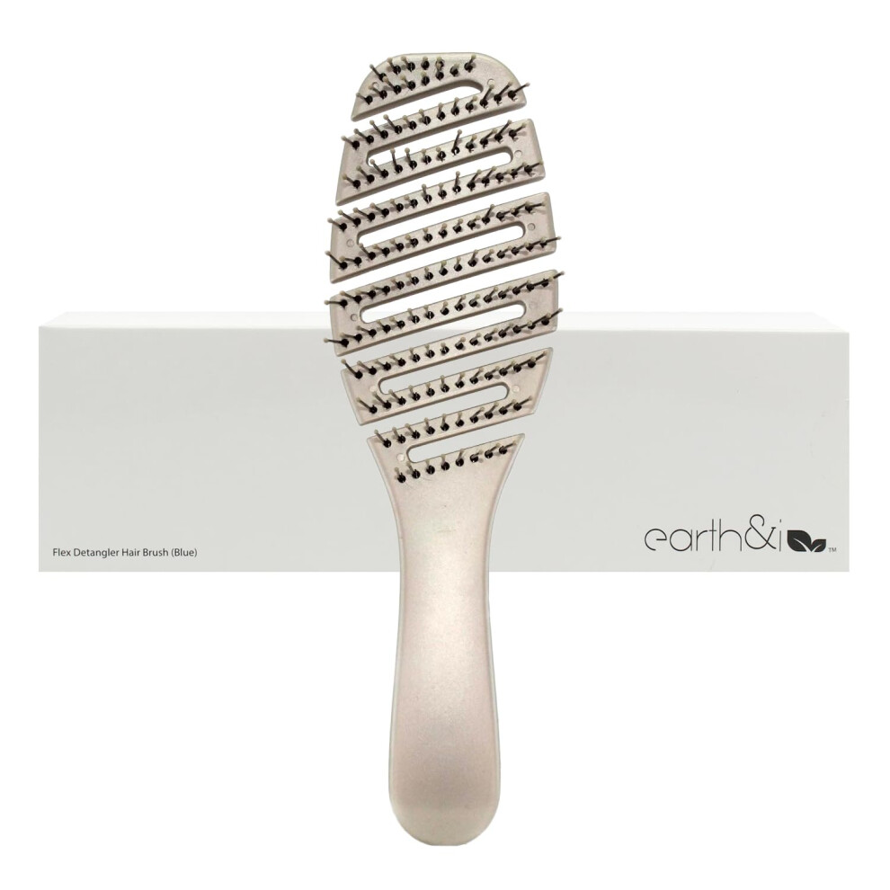 Detangling Hair Brush for Curly Hair with Gentle ScalpFriendly Bristles, Compact Travel Silver