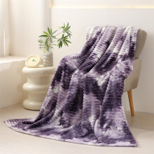 Djunllk Throw Blanket - Purple Microfiber Soft Blanket Ultimate Cozy, Lightweight Blanket All Season Use, 27.5" x 39.3"
