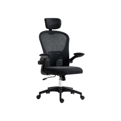 Multi-Adjustable Office Chair, with Lumbar Support, Headrest and Mesh Back - Black
