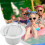 Pool Skimmer Basket with Handle for Efficient Debris Capture, Durable ABS Pool Filter Replacement 3
