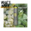 KMS KMS HairPlay Playable Texture 200ml Double 9