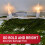 Command AW017-20NA Outdoor Light, 20 Clips 3