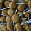 Toffee Mega Lollies (x25) 1