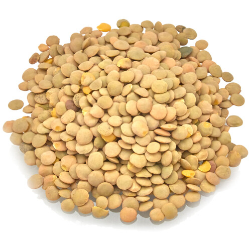 Old India Green Lentils 5kg 2