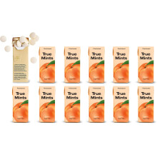 True Mints PEACH Flavour (12-pack) - Sugar Free Mints - Xylitol Mints - Fruit Pastilles - Sugar Free & Plantbased Travel Sweets with Natural Flavours