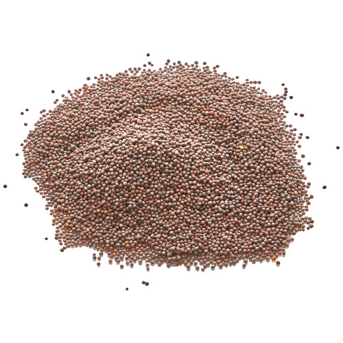 Old India Mustard Seeds Brown 5kg 2