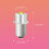 P13.5S LED Flashlight Bulb 3W DC424V Quick Conversion for Ryobi, Milwaukee and Craftsman 5