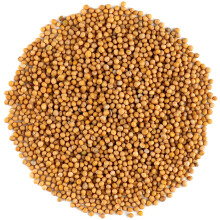 Yellow Mustard Seeds Whole - White Mustard Seed Spicy Ingriedient - 700g
