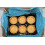 Pidy Feuilletee Quiche Case, 11 cm (42 Cases) 5