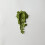 Nagasaki Premium Unsweetened Matcha | Ceremonial Grade | Single Origin 2