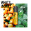KMS KMS Curlup Perfecting Lotion 100 ml 9