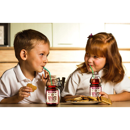 Kedem Concord Mini Grape Juice 240ml (4 Pack) 2