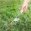 Garden Weeder Tool with RootGrip Fork and Leverage Base, Stainless Steel Hand Weeder for Lawn 5