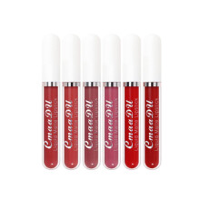 Matte Liquid Lipstick Set 6 Colors Waterproof Long Lasting Non Transfer with Velvety Finish