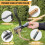 Stand Up Weed Puller with Ergonomic Long Handle, 4Claw Manual Root Removal Tool for Garden 2