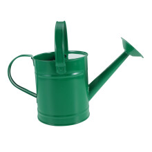 Mini Metal Watering Can with Long Spout for Indoor and Outdoor Plants, Compact and KidFriendly