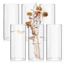6 Pack 10 Inch Glass Cylinder Vases Bulk Clear Flower Vases for Wedding Centerpieces and Home Decor