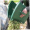 Leaf Grabbers for Yard Work, 2 Pcs Garden Leaf Rake Handheld with Large Capacity Scooping and Hand Protection 5