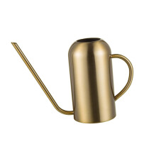 Stainless Steel Watering Can with Long Spout for Indoor Plants Succulents and Houseplants Ref: 6642