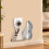 Shoe Dryer with Odor Removal, Fast Drying, Foldable Wall Mount, Quiet Energy Efficient Design 2