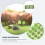 Resin Mini Flower Clusters for Railway Layout and Model Scenes 6