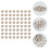 2Pcs Small Snail Shaped Natural Stones For Aquarium Layout 10