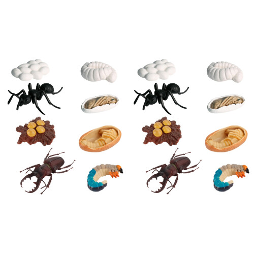 16 Pcs Realistic Insect Growth Models Worker Ants Educational Toy 1