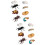 16 Pcs Realistic Insect Growth Models Worker Ants Educational Toy 7