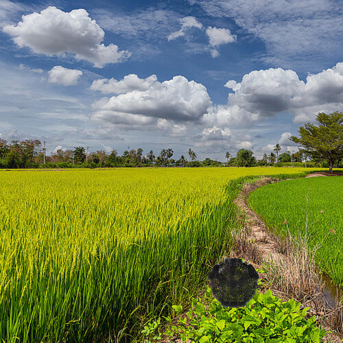 2Pièces Cage De Noire Résistante Pour Écrevisses Crabes 1