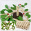 1Ensemble Puzzle Bois Enfant Arbre Assemble Joyeux 3