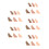 15Paires Modeles Ongles Silicone Multiusage Pour Entrainement 6