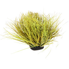 Unbranded Woodland Miniature Decoration 45.00x45.00x28.00cm Green