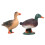 2Pcs Simulation Duck Model Decor Ornament Kids Cognitive Toy 8