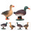 2Pcs Simulation Duck Model Decor Ornament Kids Cognitive Toy 9