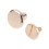 60 Pcs Copper Flat Head Screws Studs For Notebook Craft Diy 8