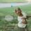 2 Pieces Racket Safe Badminton Reduce Searching Time Child 3