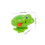 6St Groene Plastic Wind Up Speelgoed Voor Kinderen 3