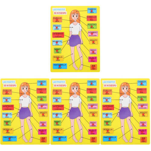 4Sets Multi Menselijk Lichaam Voor Peuters En Kleuters 2