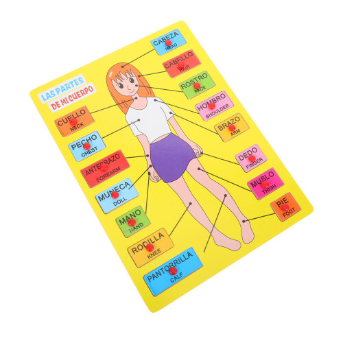 4Sets Multi Menselijk Lichaam Voor Peuters En Kleuters 1
