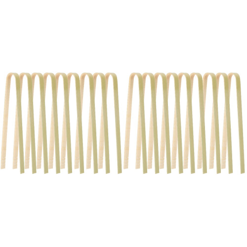 20Pièces Clip Transplantation Cactus Bambou Utilisation Décor 2