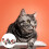 2St Duurzame Kattenloopriem Met Snelsluiting En Metall Ring Multi 10