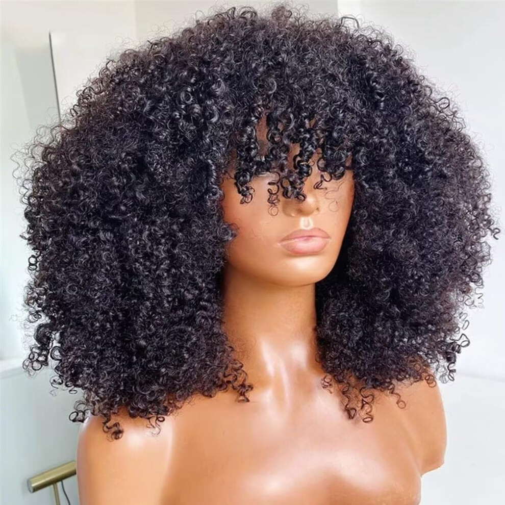 16 Inch Curly Lace Front Human Hair Wig Afro Kinky with Bangs Glueless HD Lace 150% Density