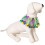 1Stk Haustier Halsband Karneval Polyester Komfortabel 11