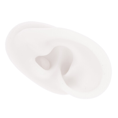 4Pièces Oreilles En Silicone Blanches Pour Cours Anatomie 2