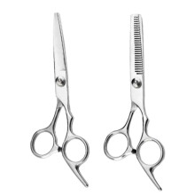Professional Hair Cutting Scissors Set with Thinning Scissors, Japanese Steel, 2 Piece, 15% Thinning