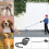 50KG 8M Large Dog Lead Leash Strongs Retractable Extendables Lockable 7